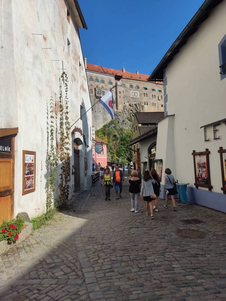 Zdjęcie 6