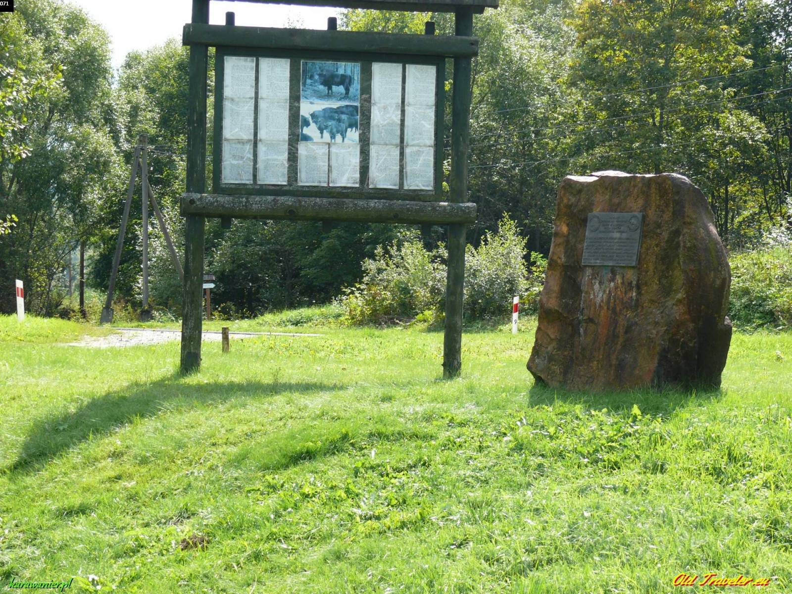 Zdjęcie 5