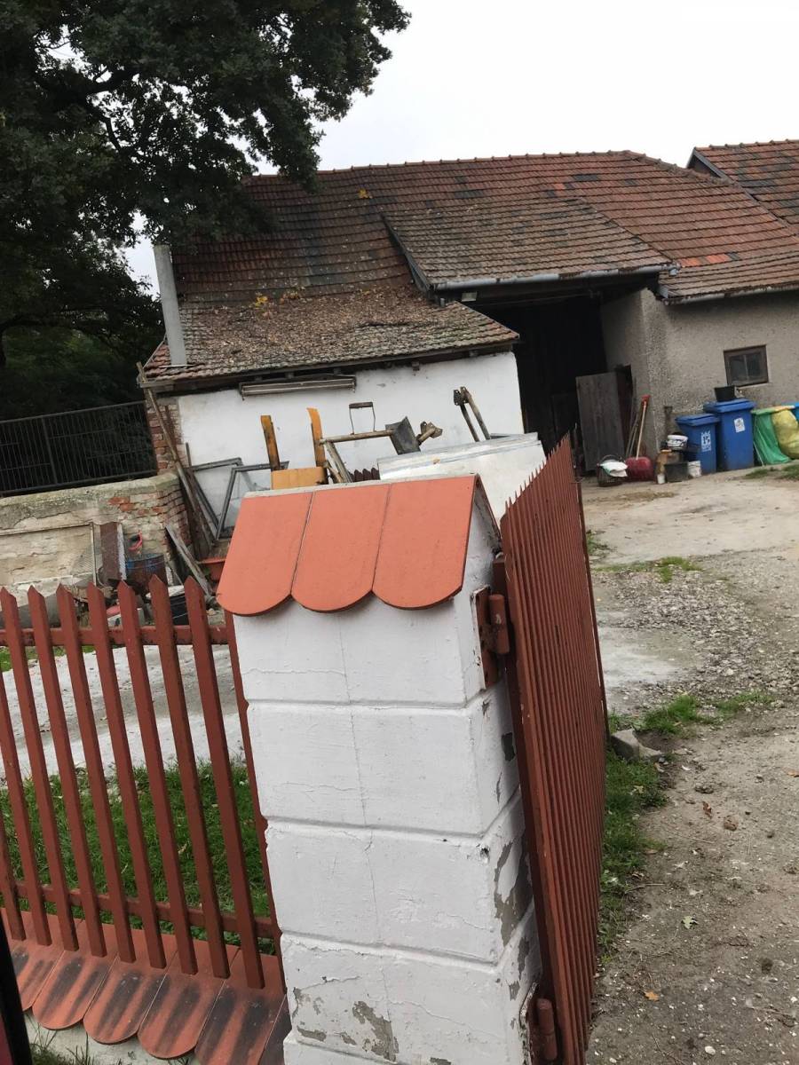 Zdjęcie 3