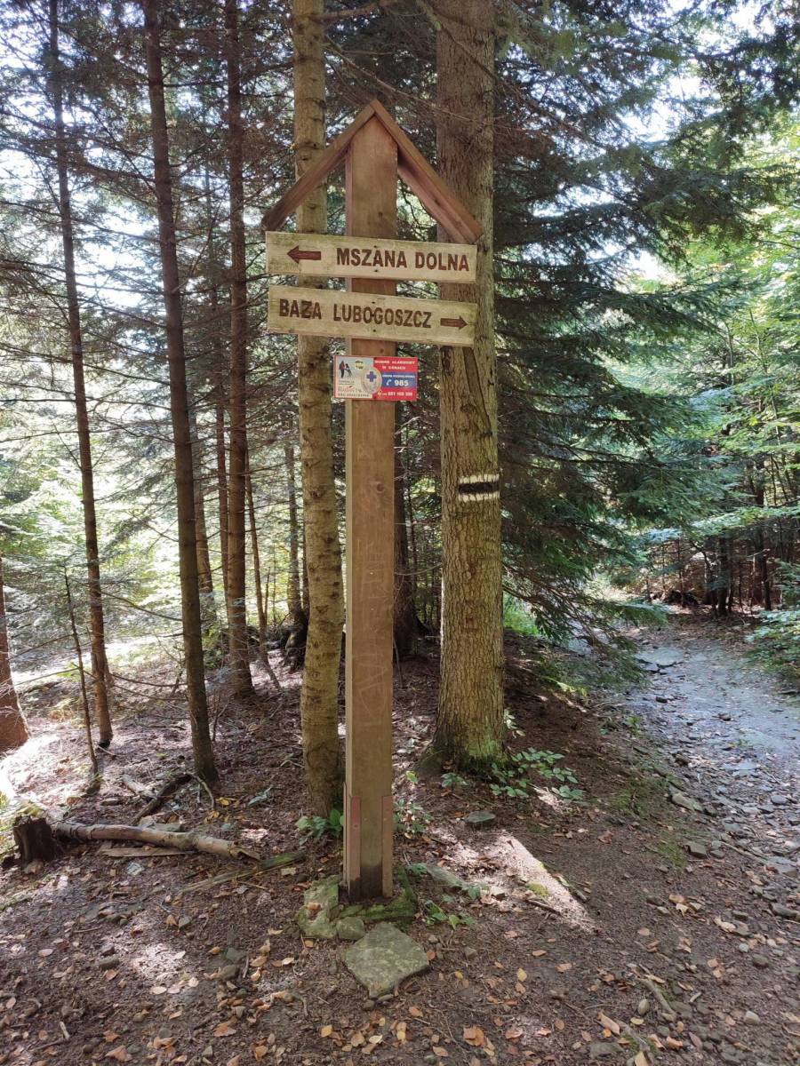 Zdjęcie 3