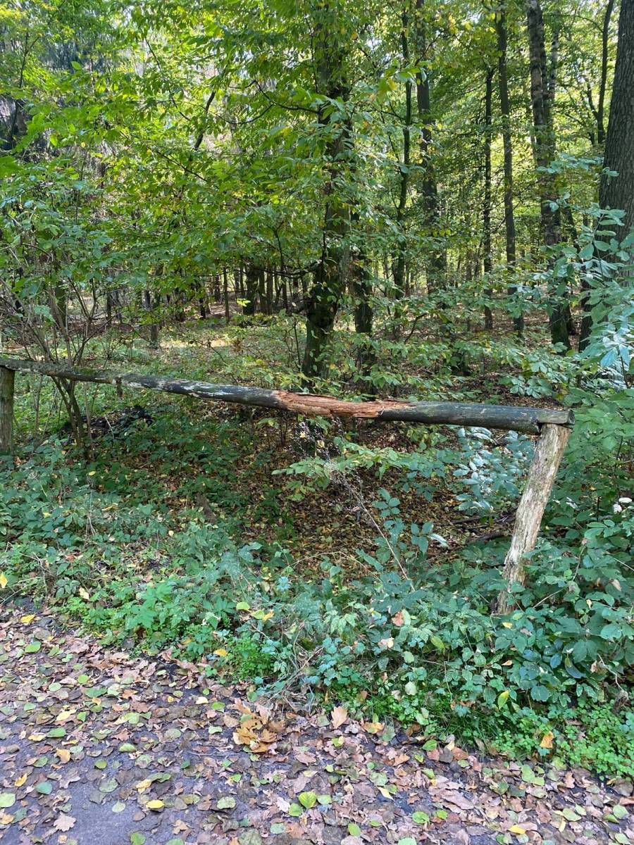 Zdjęcie 5
