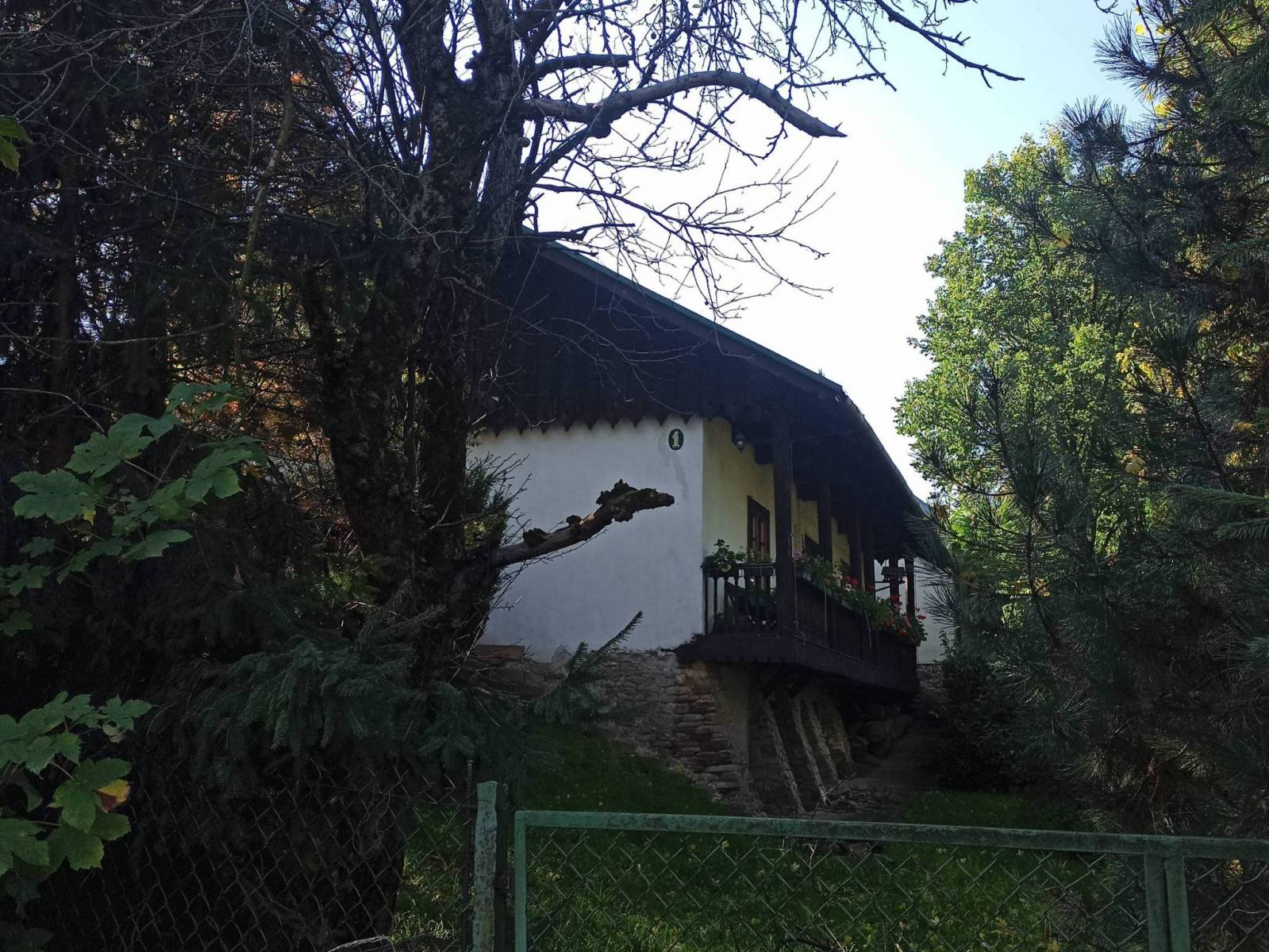 Zdjęcie 5
