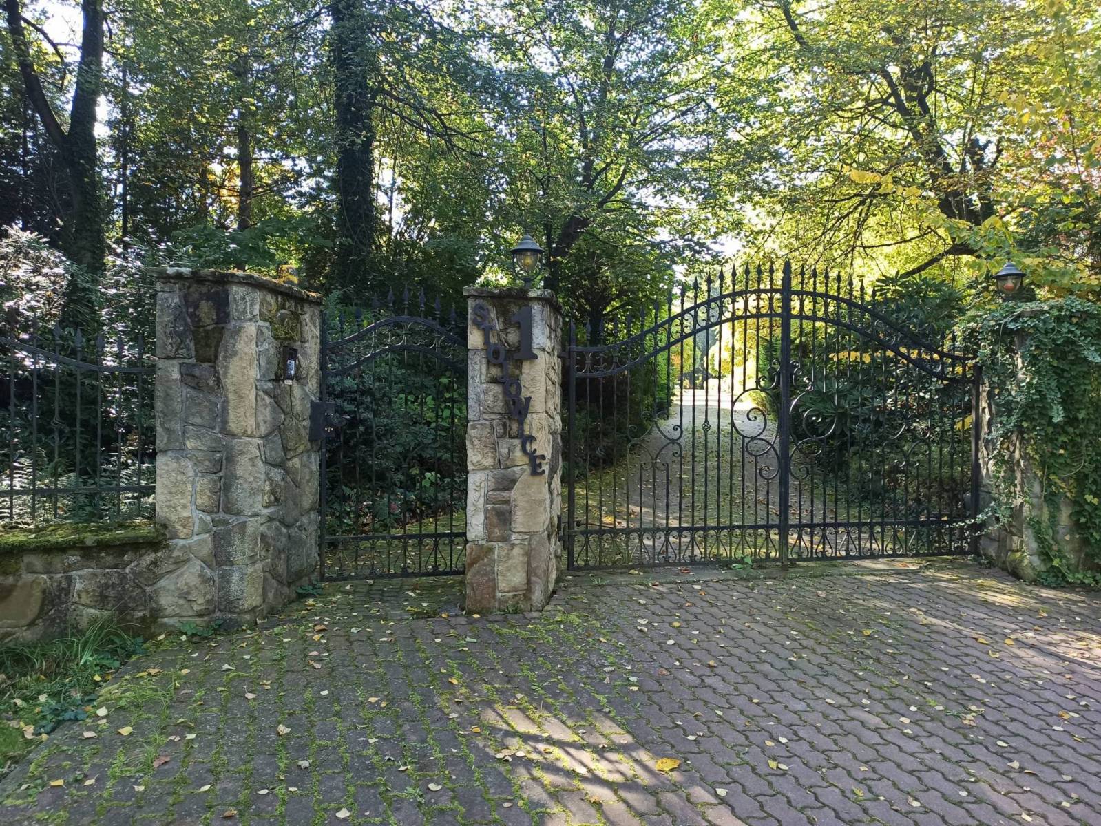 Zdjęcie 3