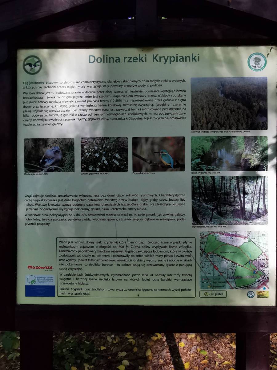 Zdjęcie 2