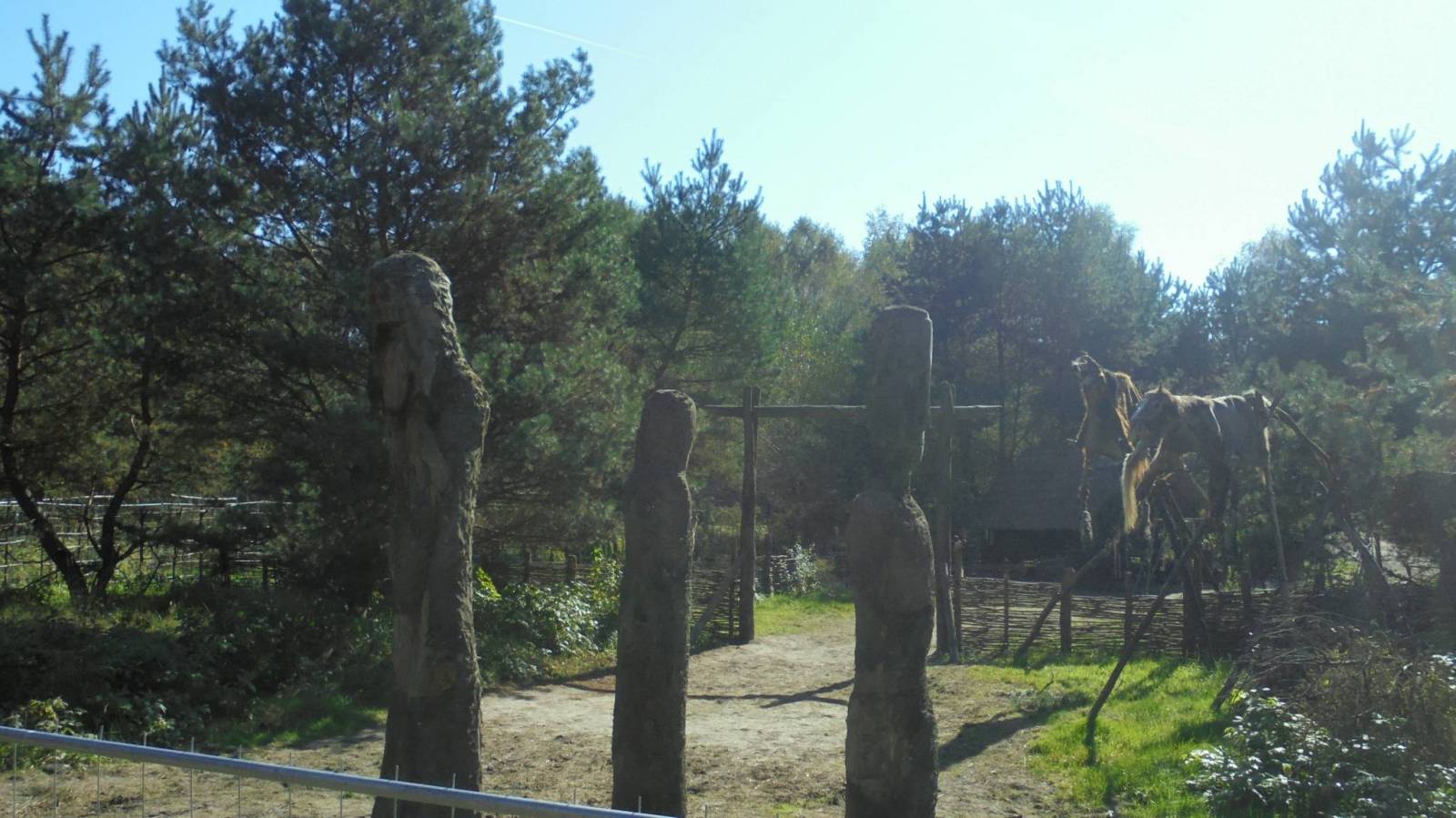 Zdjęcie 2