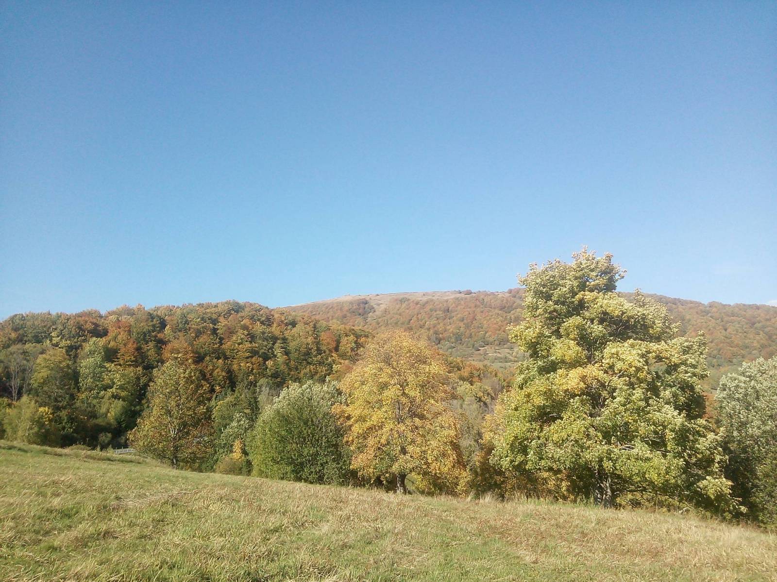 Zdjęcie 4