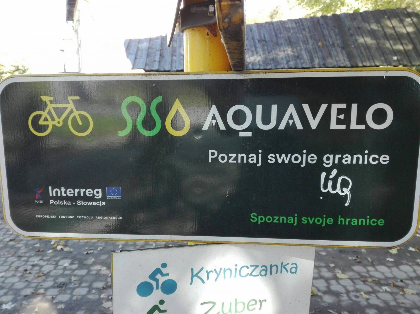 Zdjęcie 6