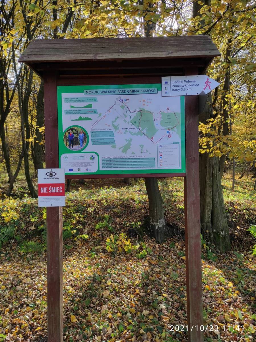 Zdjęcie 6