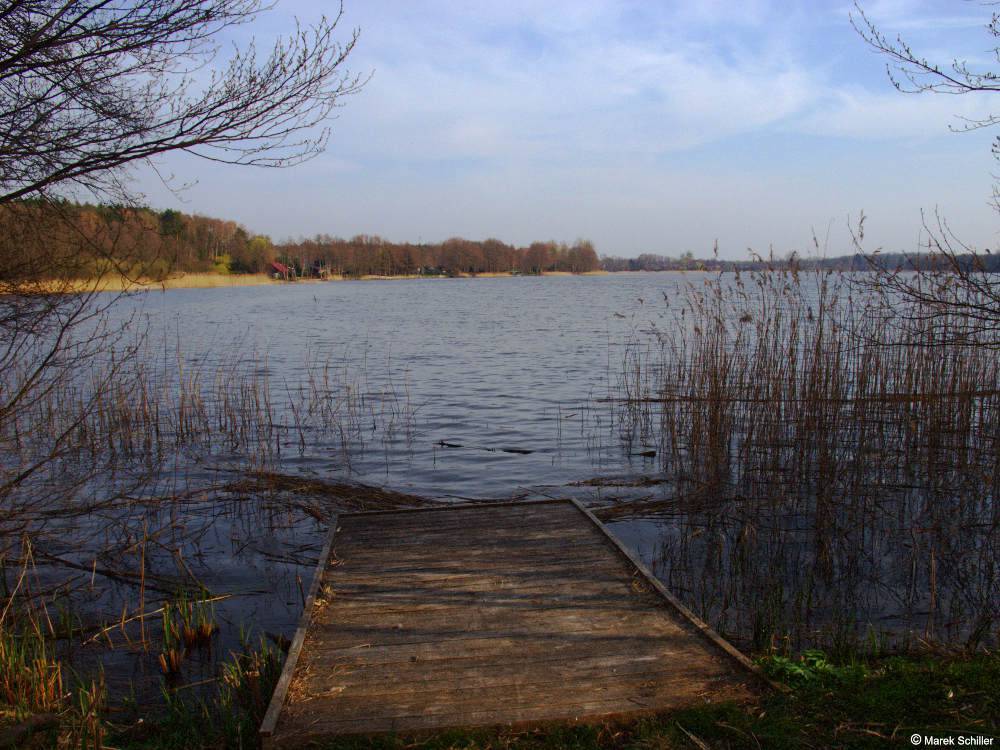 Zdjęcie 2