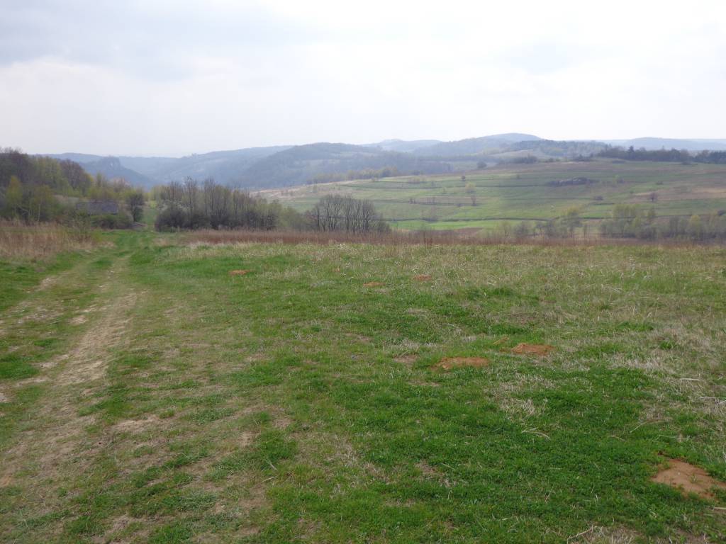 Zdjęcie 3