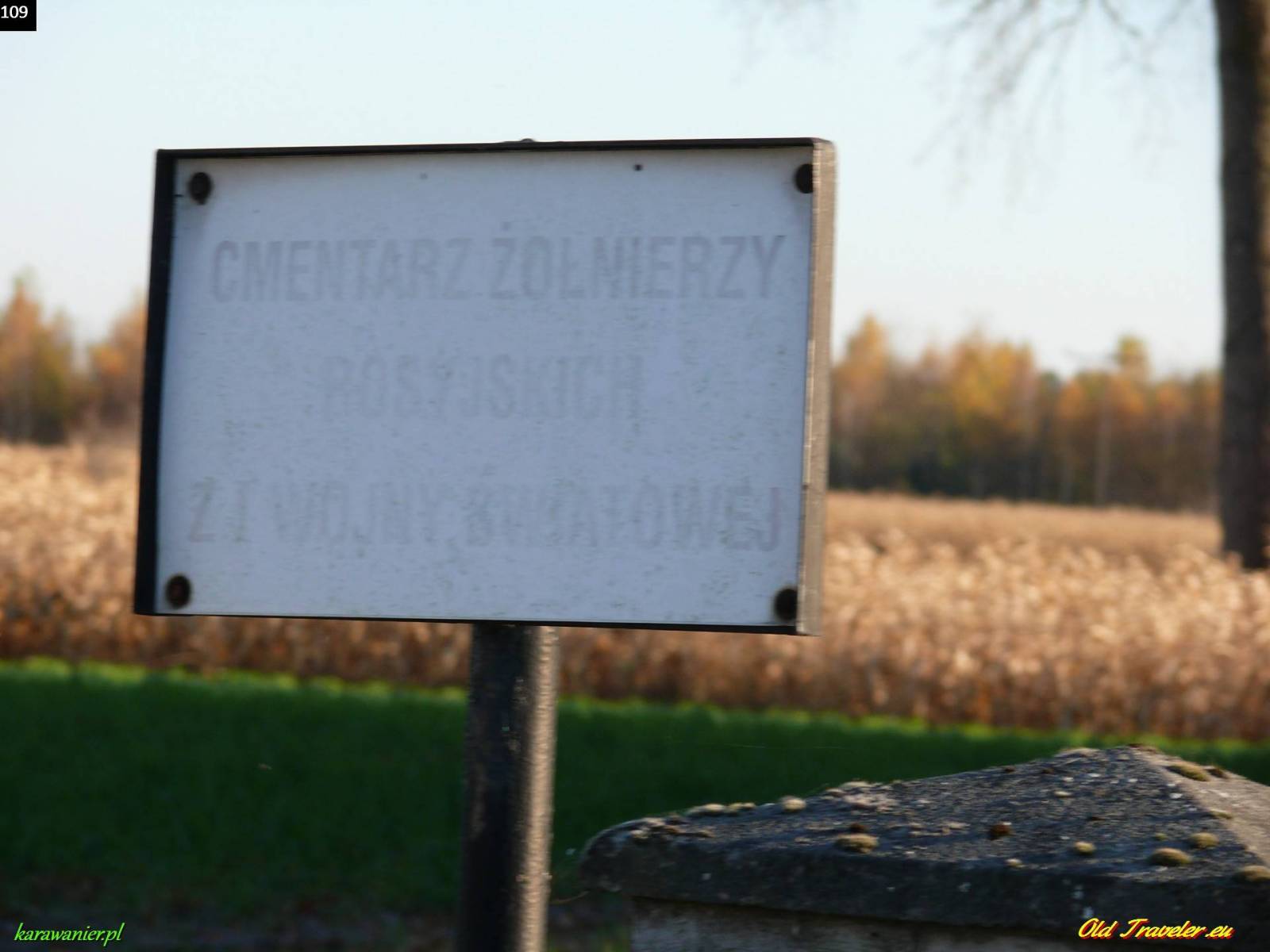 Zdjęcie 6
