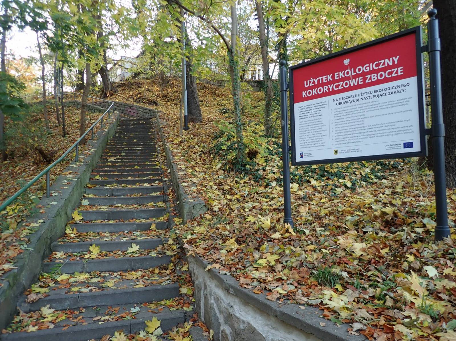 Zdjęcie 2