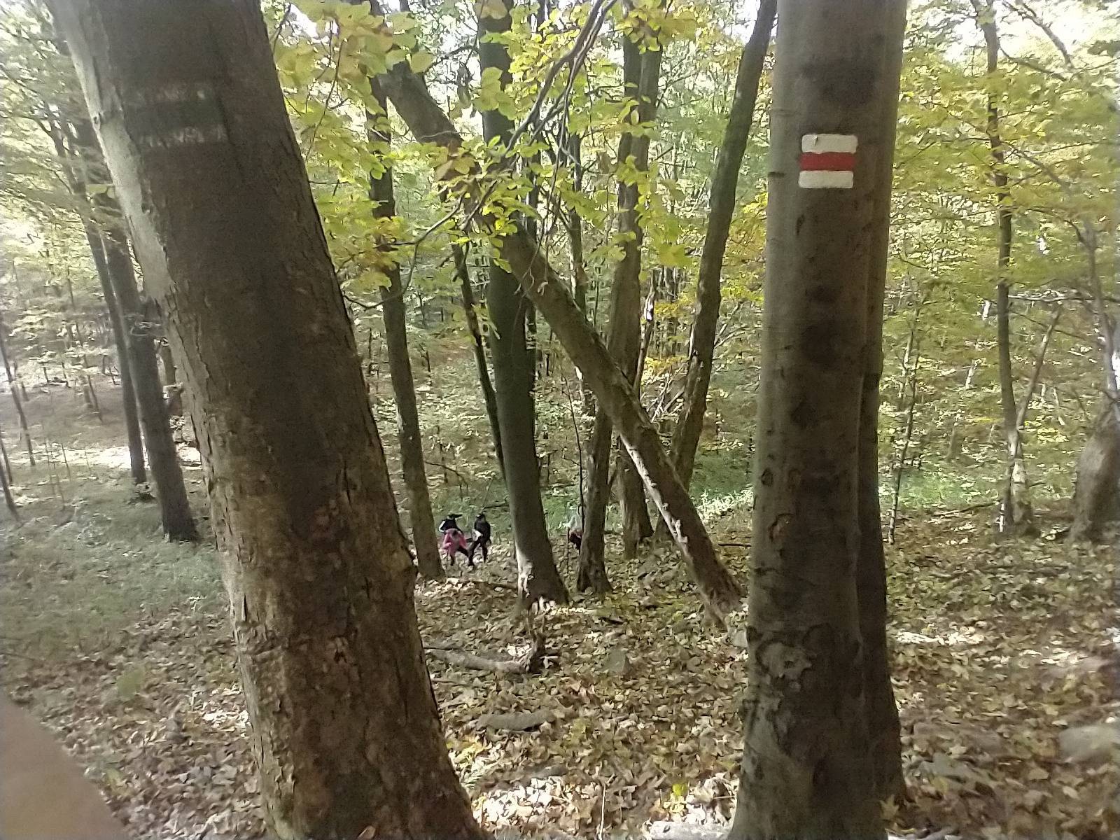 Zdjęcie 6