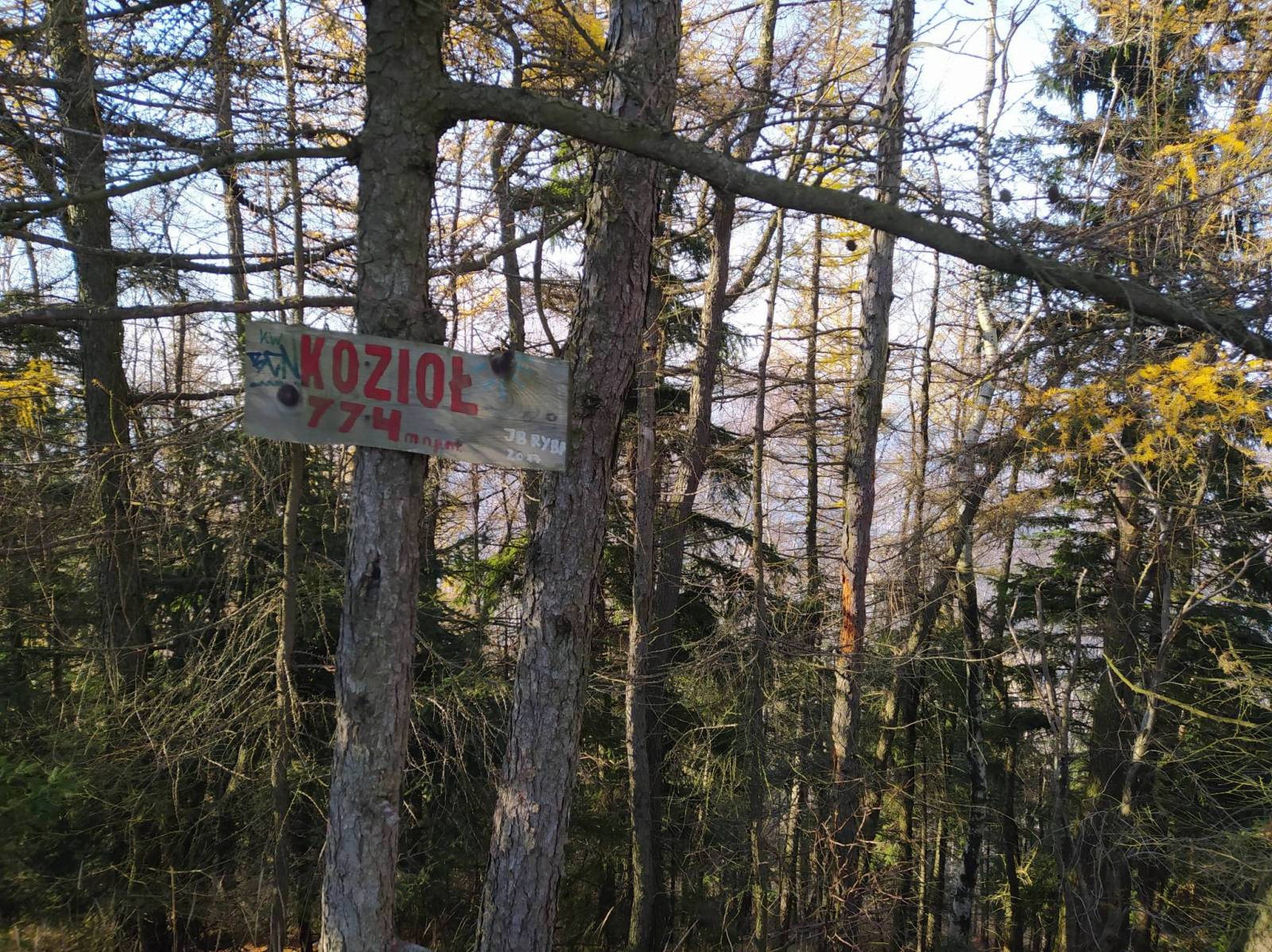 Zdjęcie 4