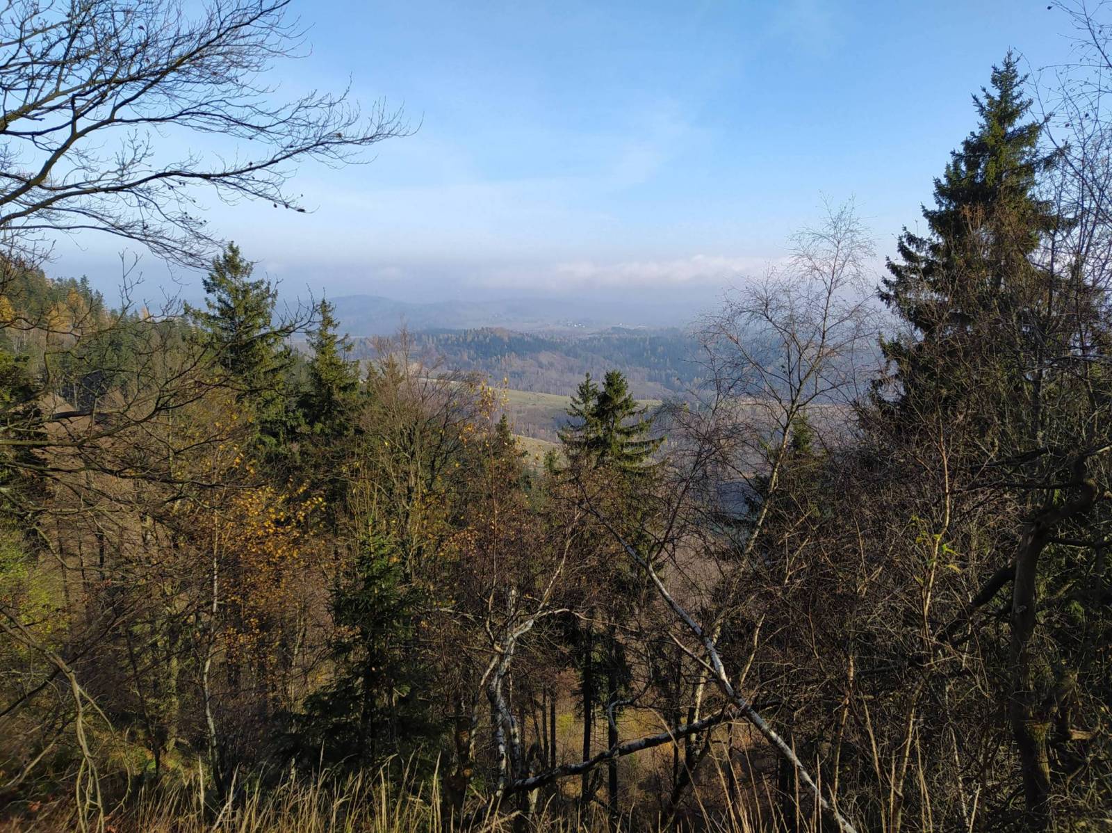 Zdjęcie 6