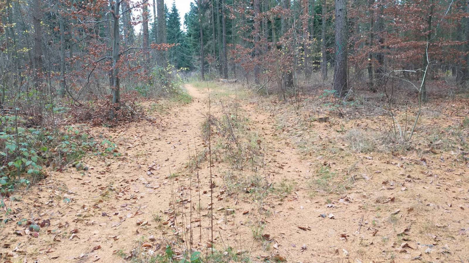 Zdjęcie 3