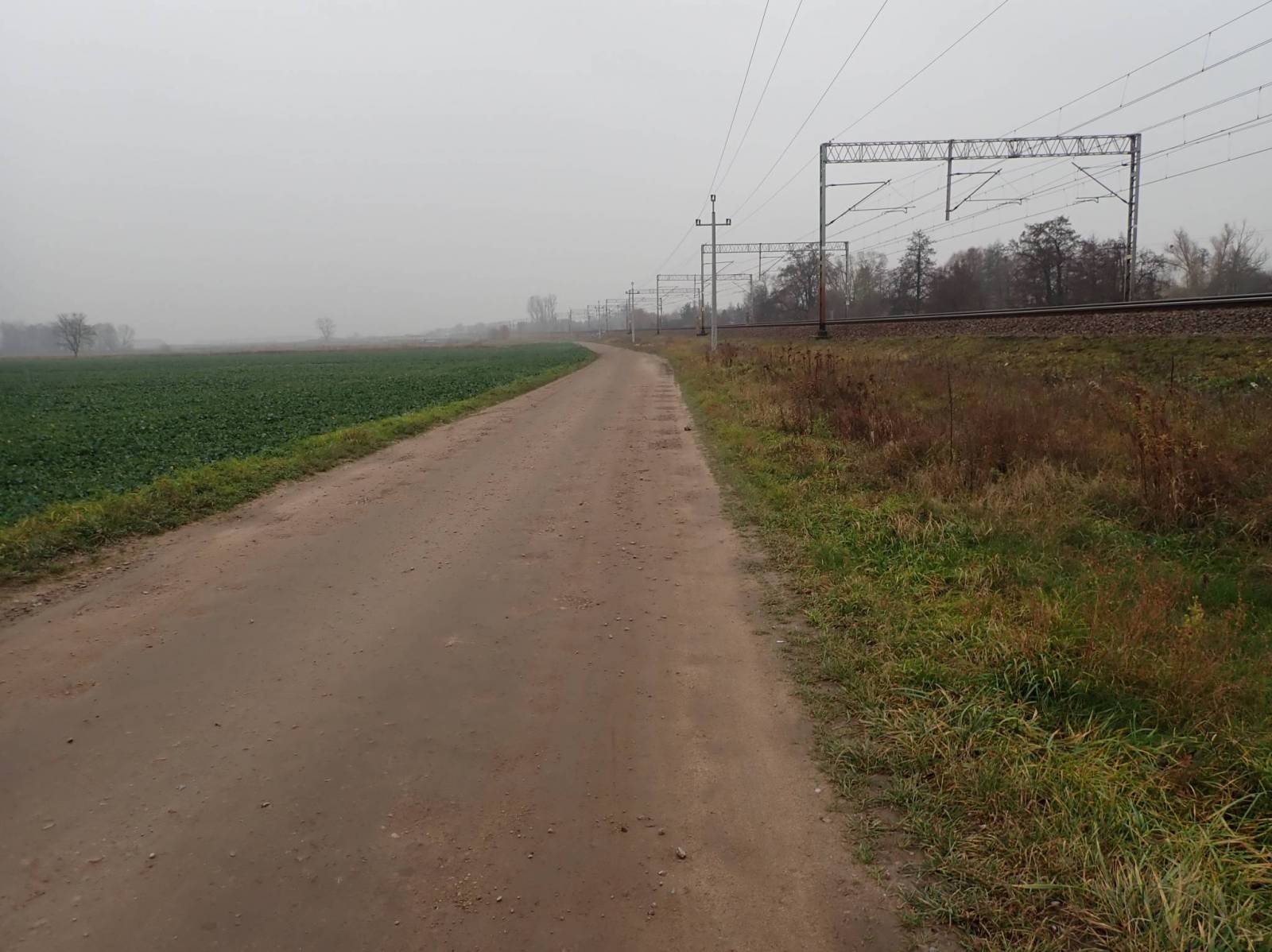 Zdjęcie 6