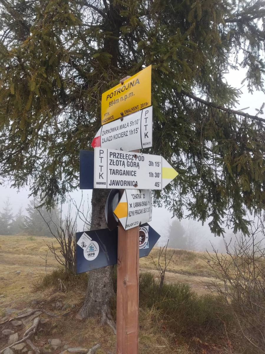Zdjęcie 4