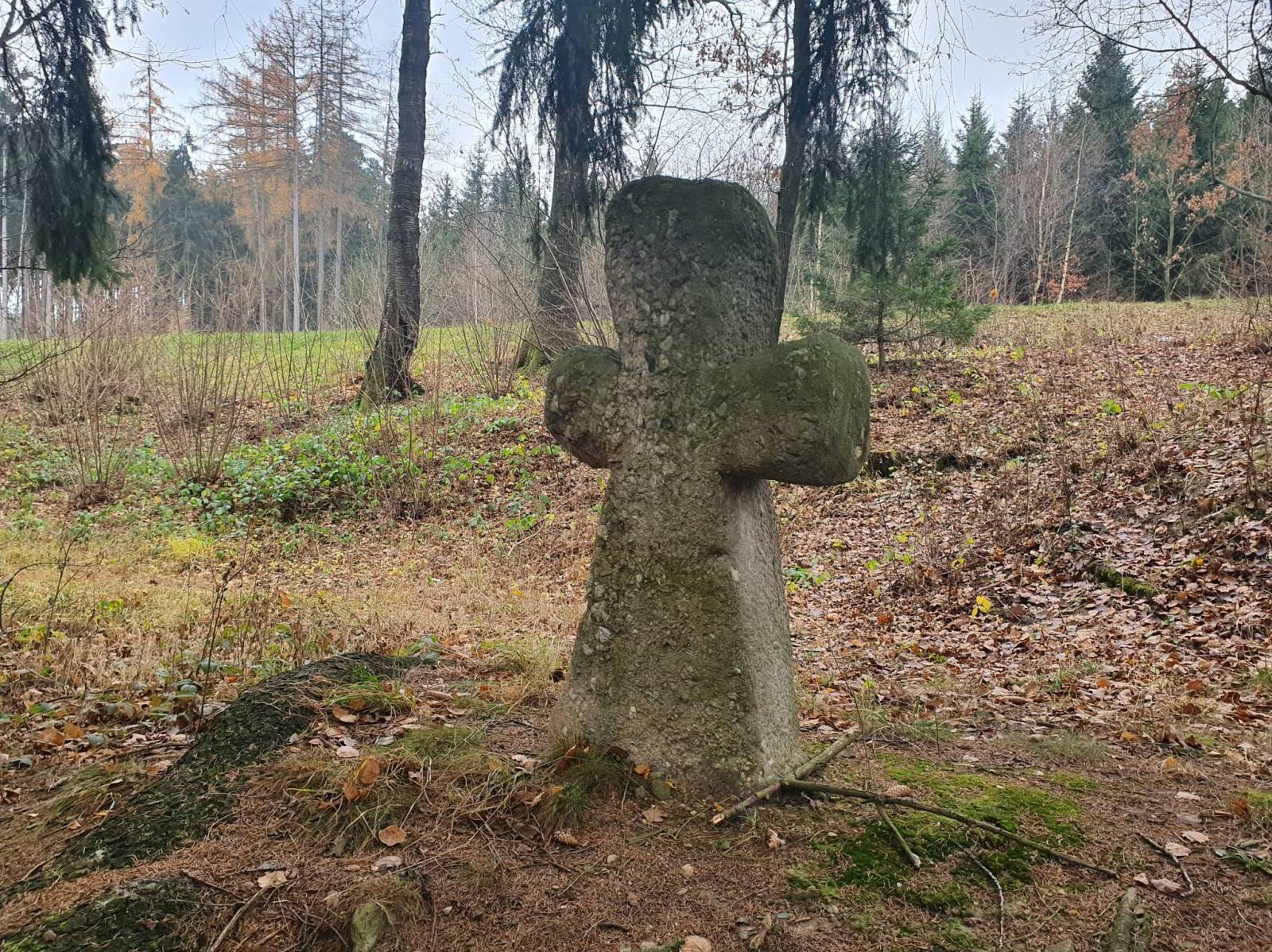 Zdjęcie 3