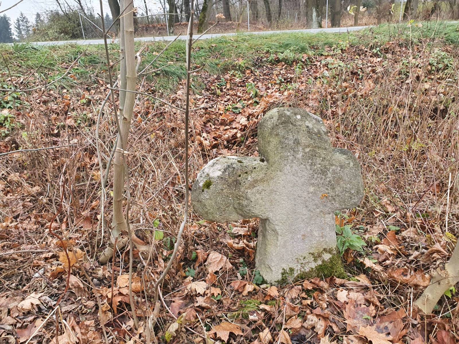 Zdjęcie 5