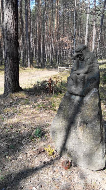 Zdjęcie 6
