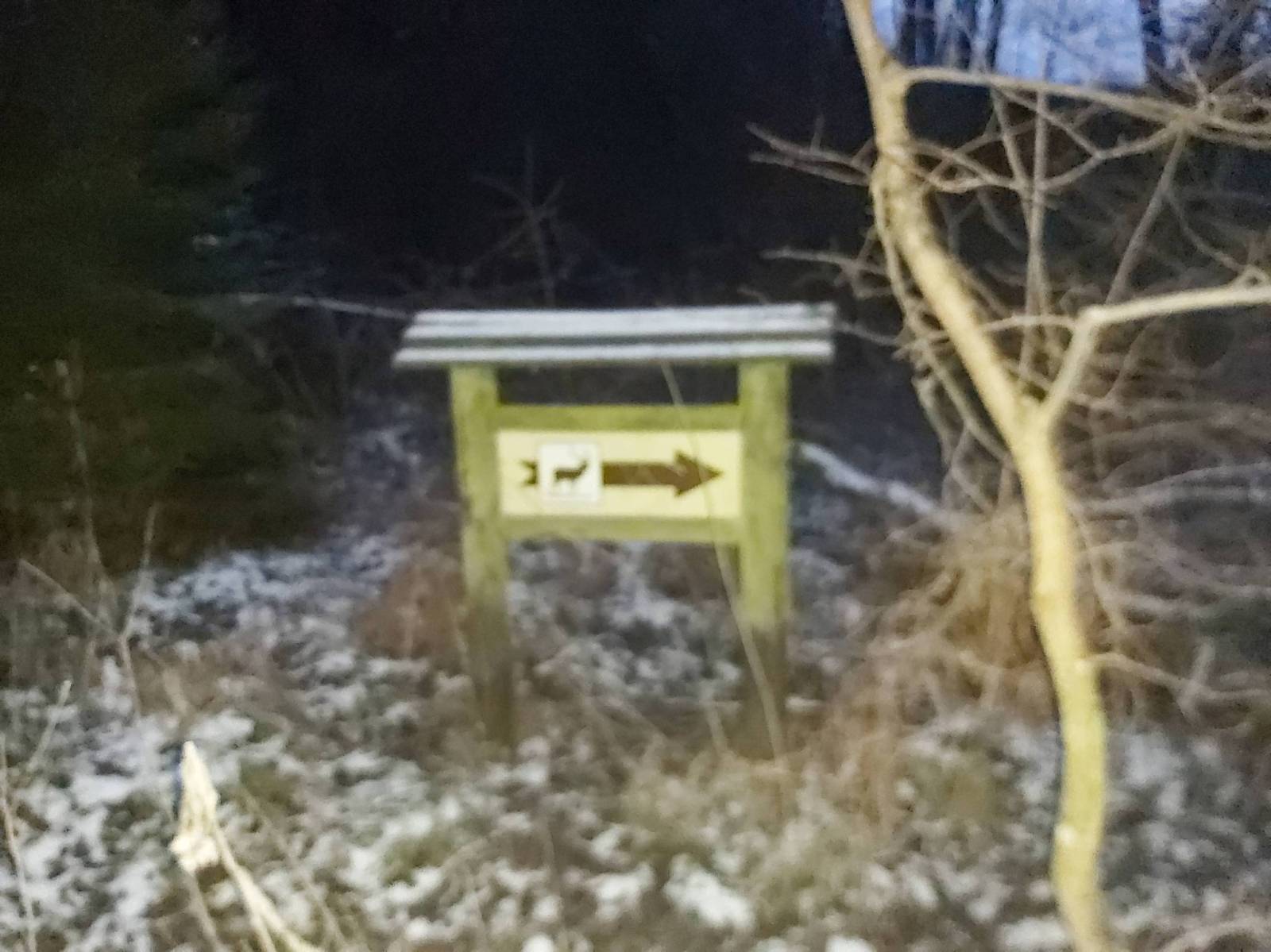 Zdjęcie 6