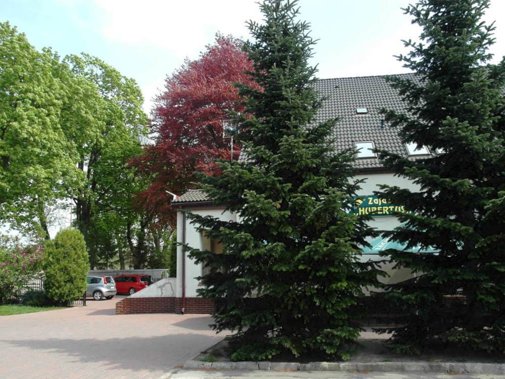 Zdjęcie 5