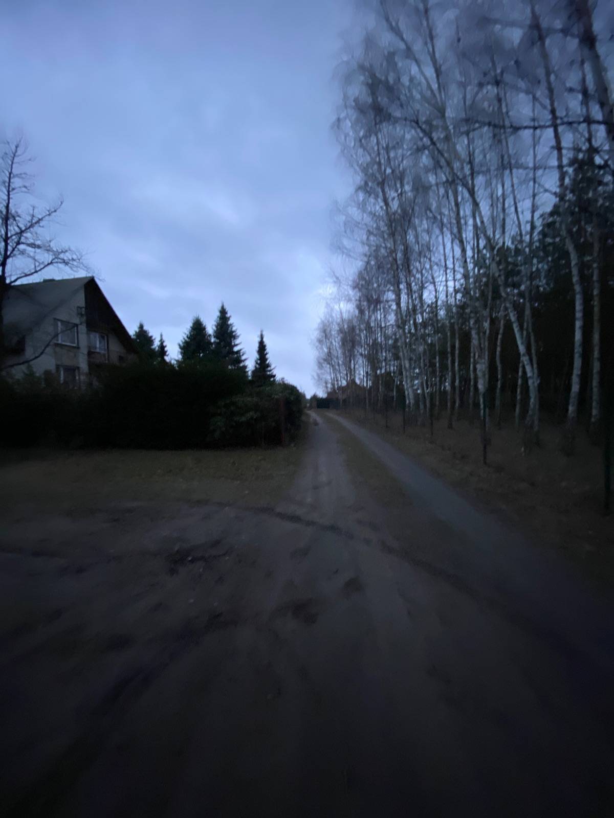 Zdjęcie 2