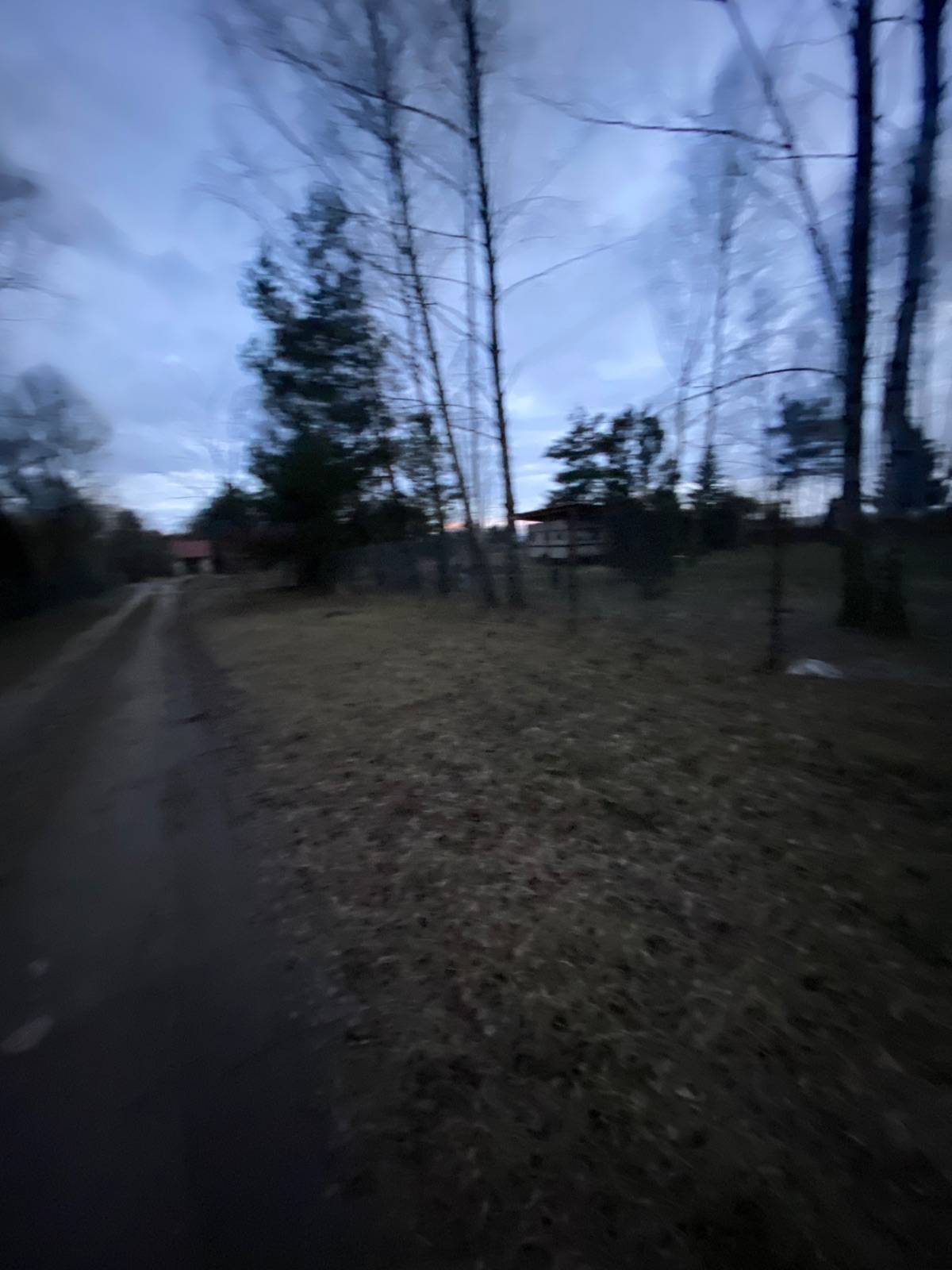 Zdjęcie 3