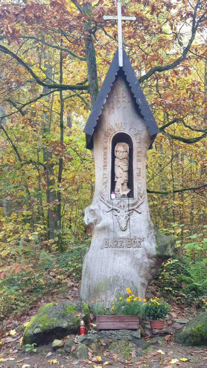 Zdjęcie 3