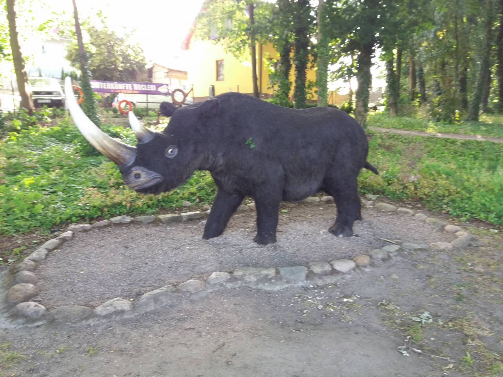 Zdjęcie 6