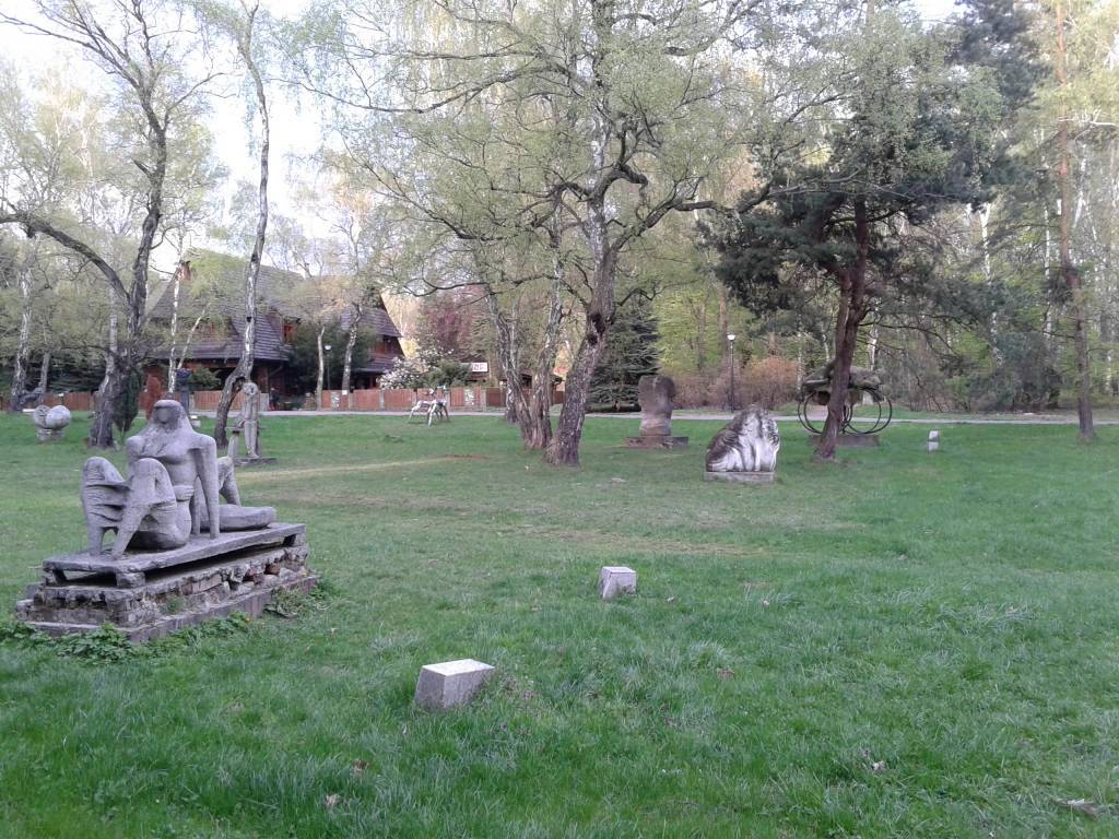 Zdjęcie 5