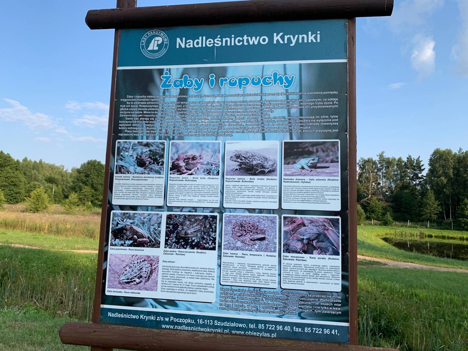 Zdjęcie 6