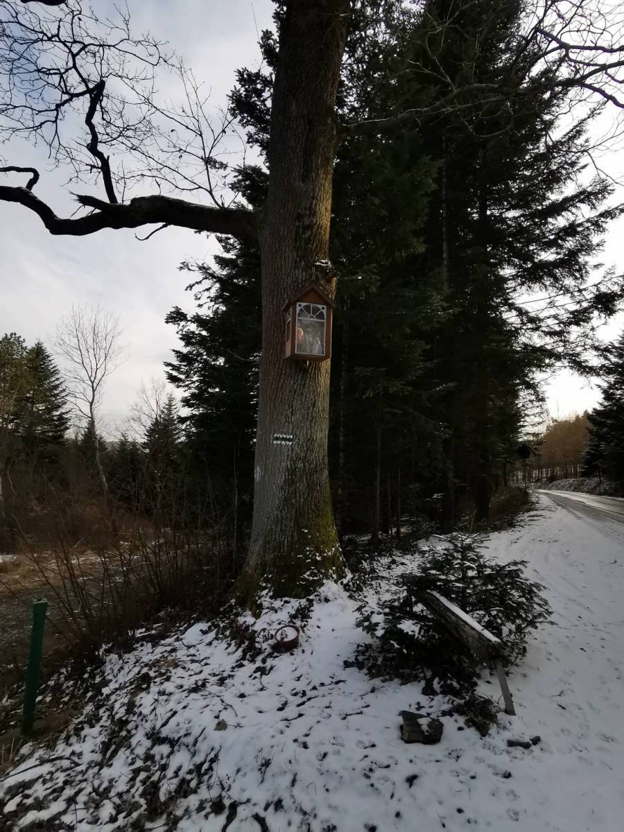 Zdjęcie 2