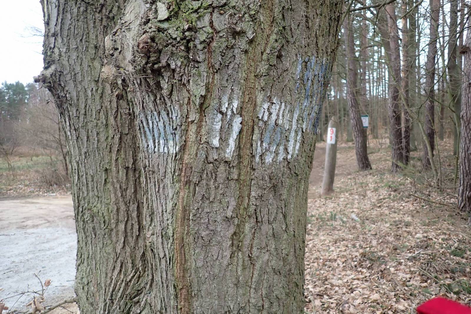 Zdjęcie 4
