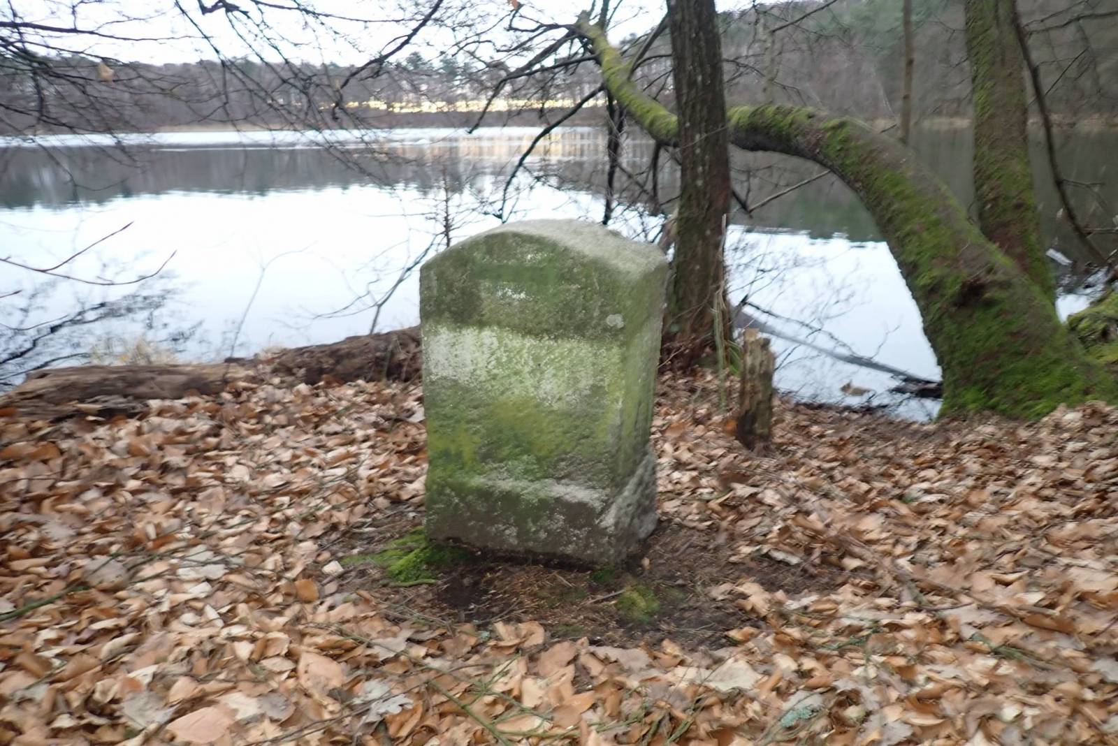 Zdjęcie 5