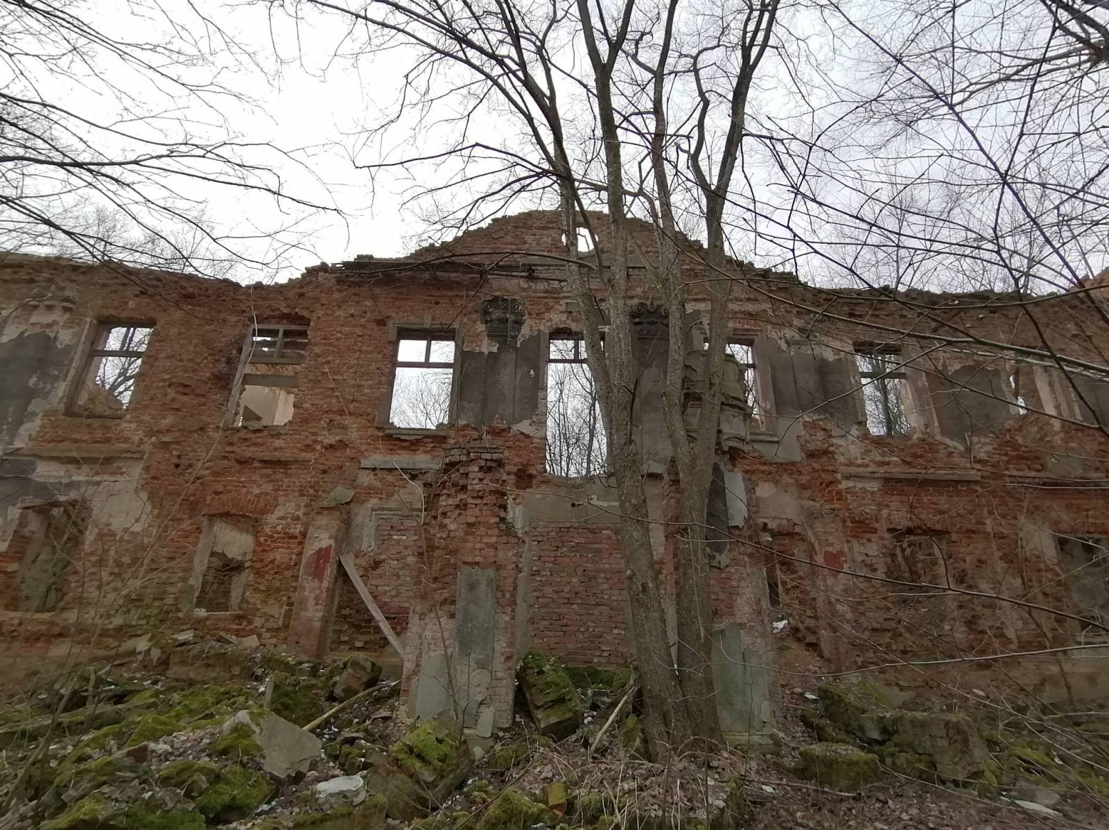 Zdjęcie 3