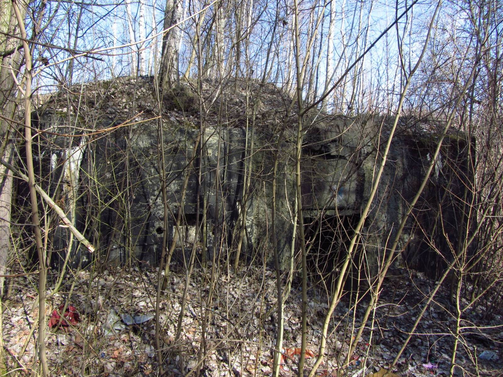 Zdjęcie 6