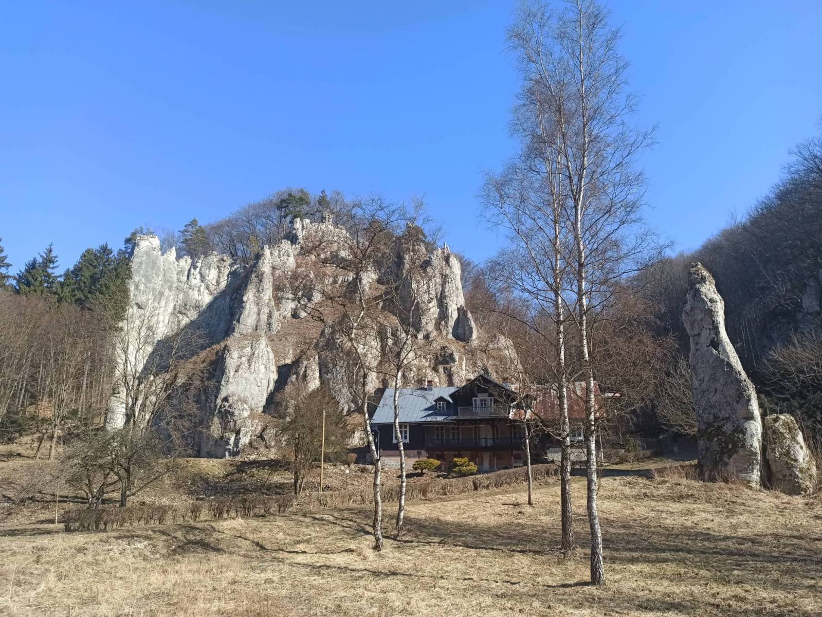 Zdjęcie 6