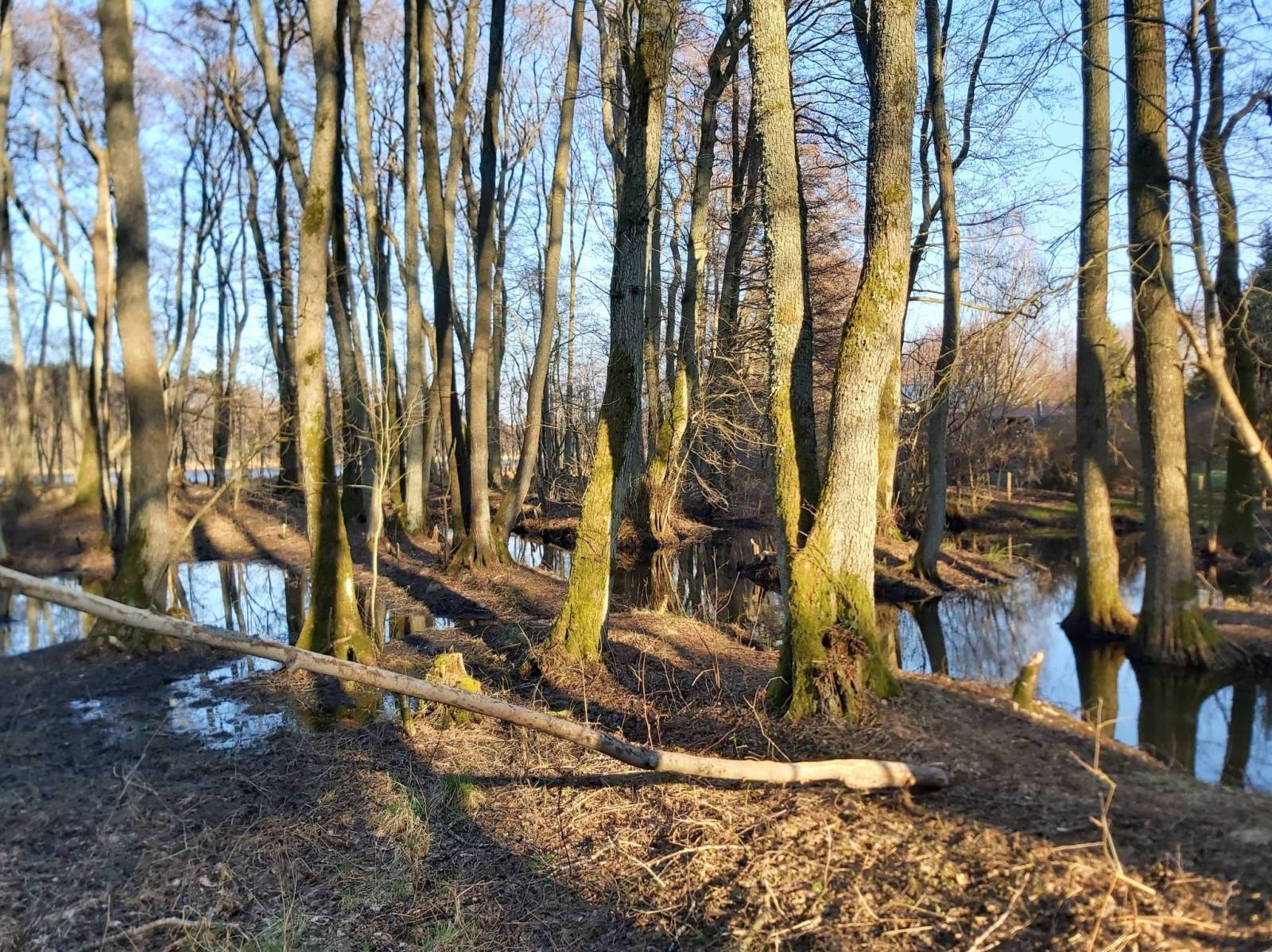 Zdjęcie 4