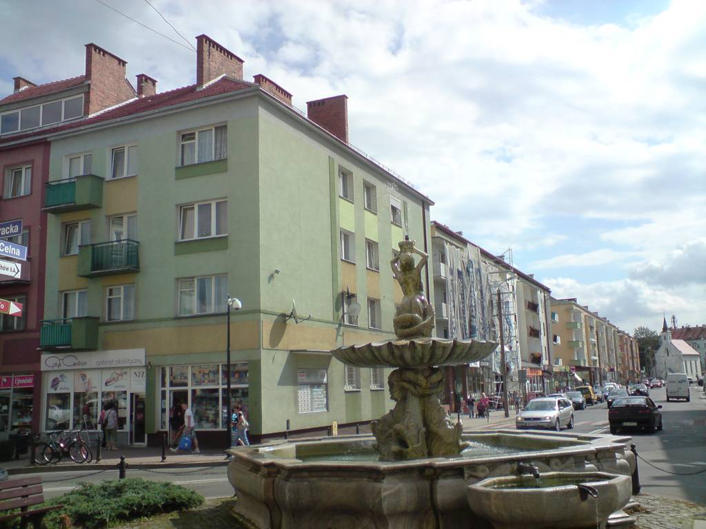 Zdjęcie 6