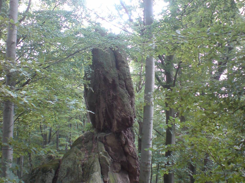 Zdjęcie 2