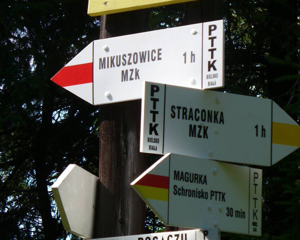 Zdjęcie 4