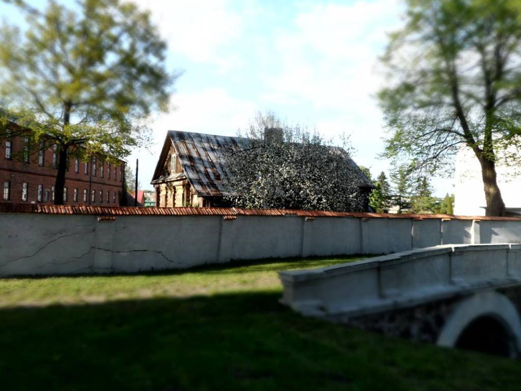 Zdjęcie 4