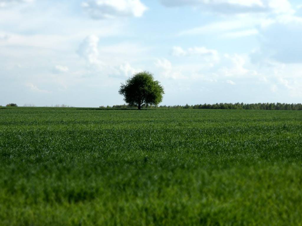 Zdjęcie 6