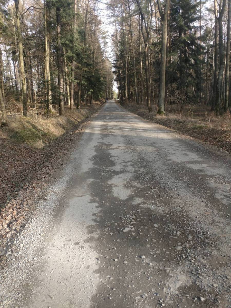 Zdjęcie 2