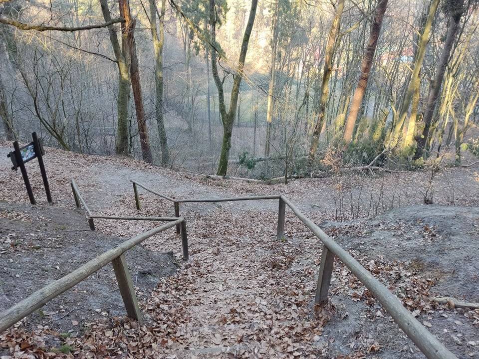 Zdjęcie 4