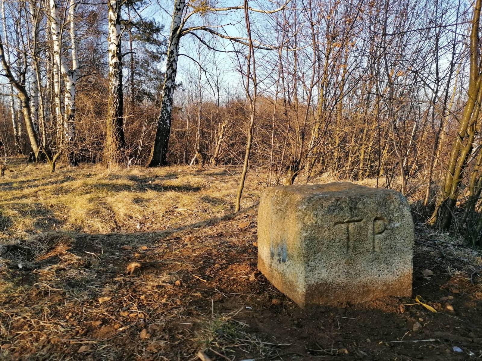 Zdjęcie 6