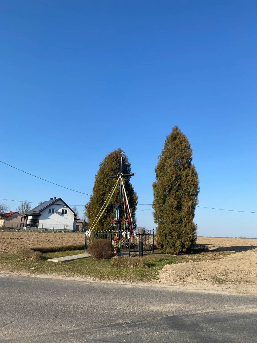 Zdjęcie 4