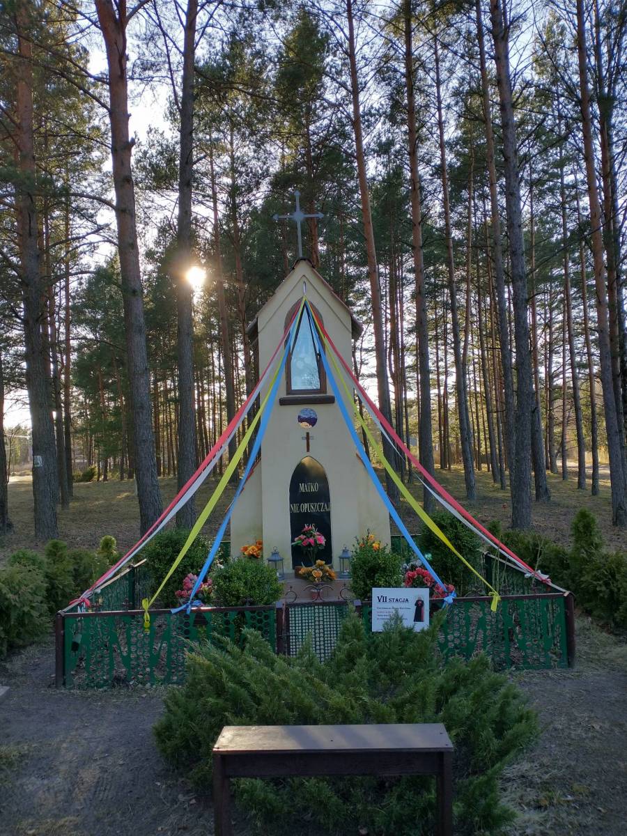 Zdjęcie 6